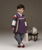 Young boy wearing a royal purple hanbok and crossing legs