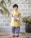 Young boy wearing a yellow and purple korean hanbok