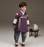Young boy wearing a royal purple hanbok and looking over