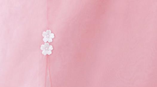 Custom Women's Bridal Hanbok: Blue and Pink Sheer Top-The Korean In Me