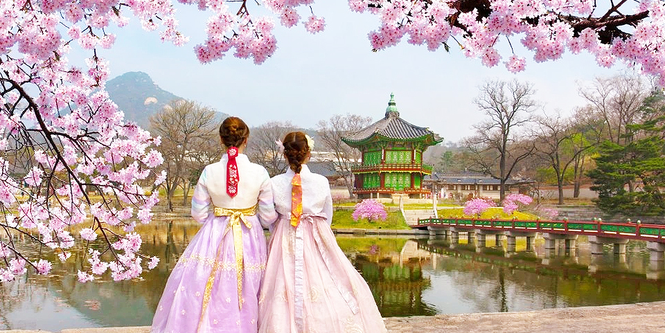 The Korean In Me, Bay Area Korean cultural non-profit
