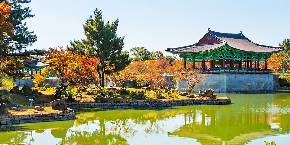 The Korean In Me, Bay Area Korean cultural non-profit